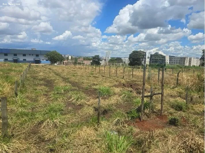 Foto 2 de Lote 1.000 m² na Av. Perimetral Norte