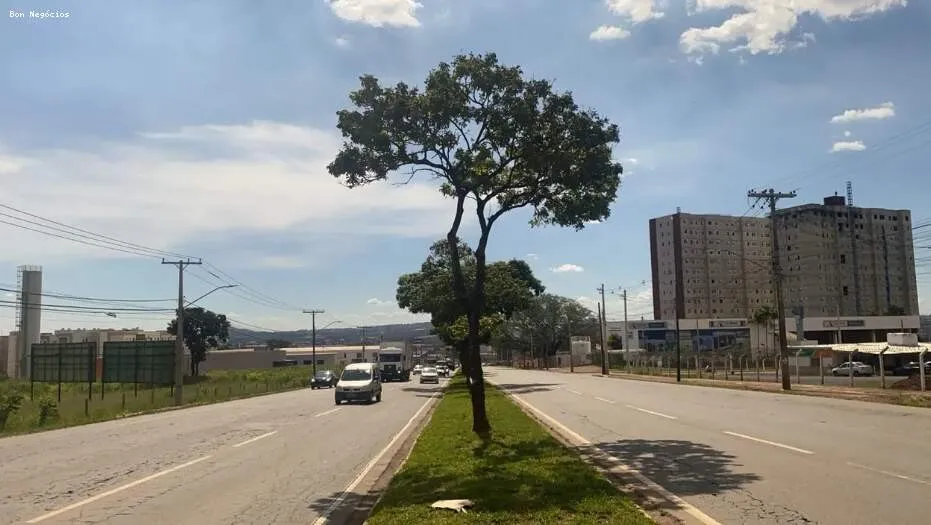 Foto 4 de Lote 1.000 m² na Av. Perimetral Norte